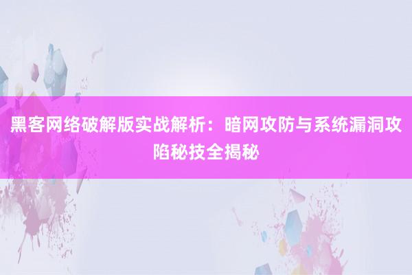 黑客网络破解版实战解析：暗网攻防与系统漏洞攻陷秘技全揭秘